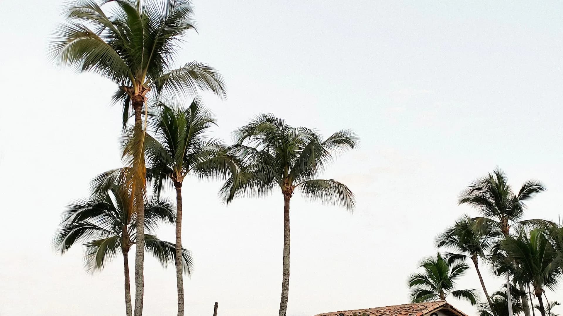 São Paulo → Ilhabela